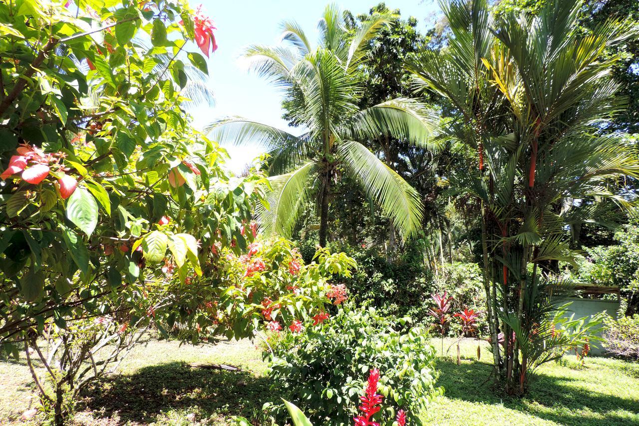 Rosa Lodge Cahuita Buitenkant foto