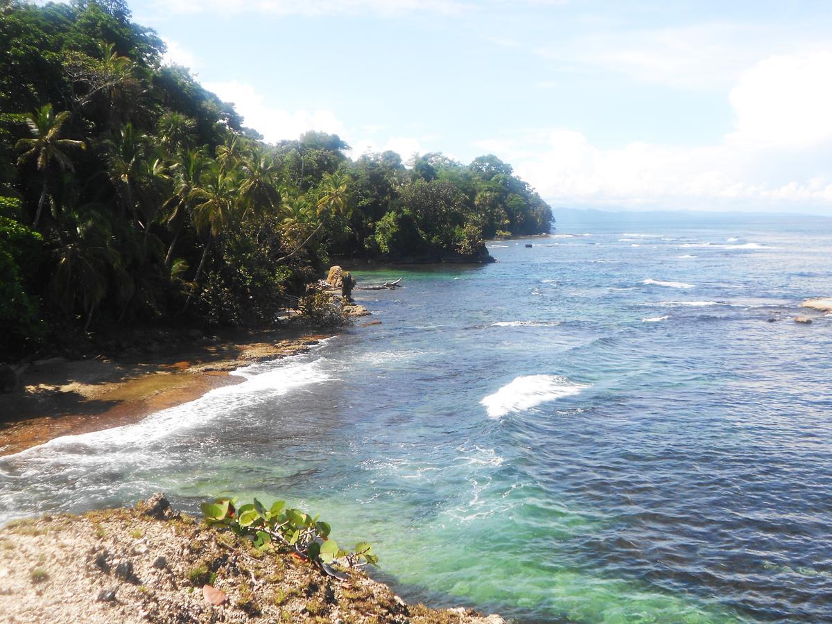 Rosa Lodge Cahuita Buitenkant foto