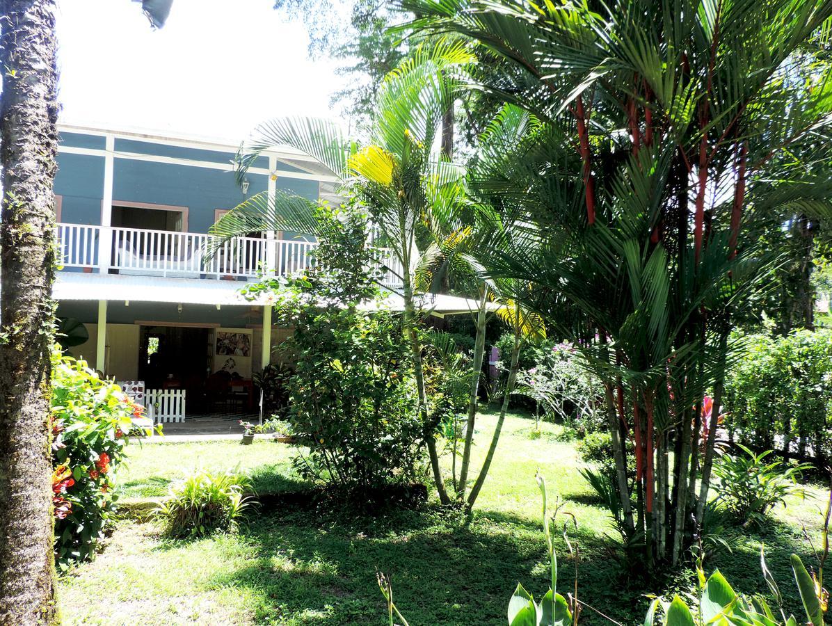 Rosa Lodge Cahuita Buitenkant foto