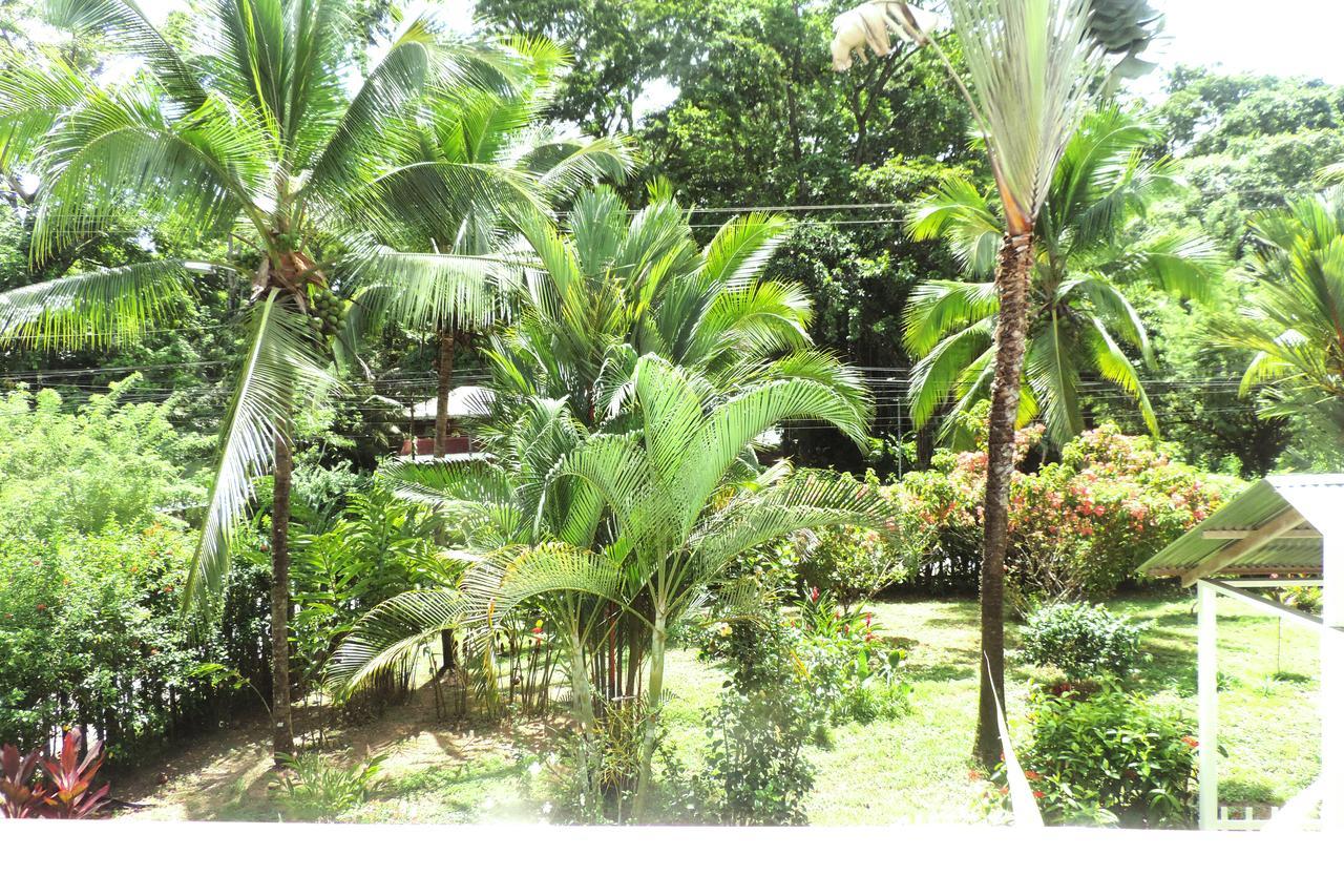 Rosa Lodge Cahuita Buitenkant foto