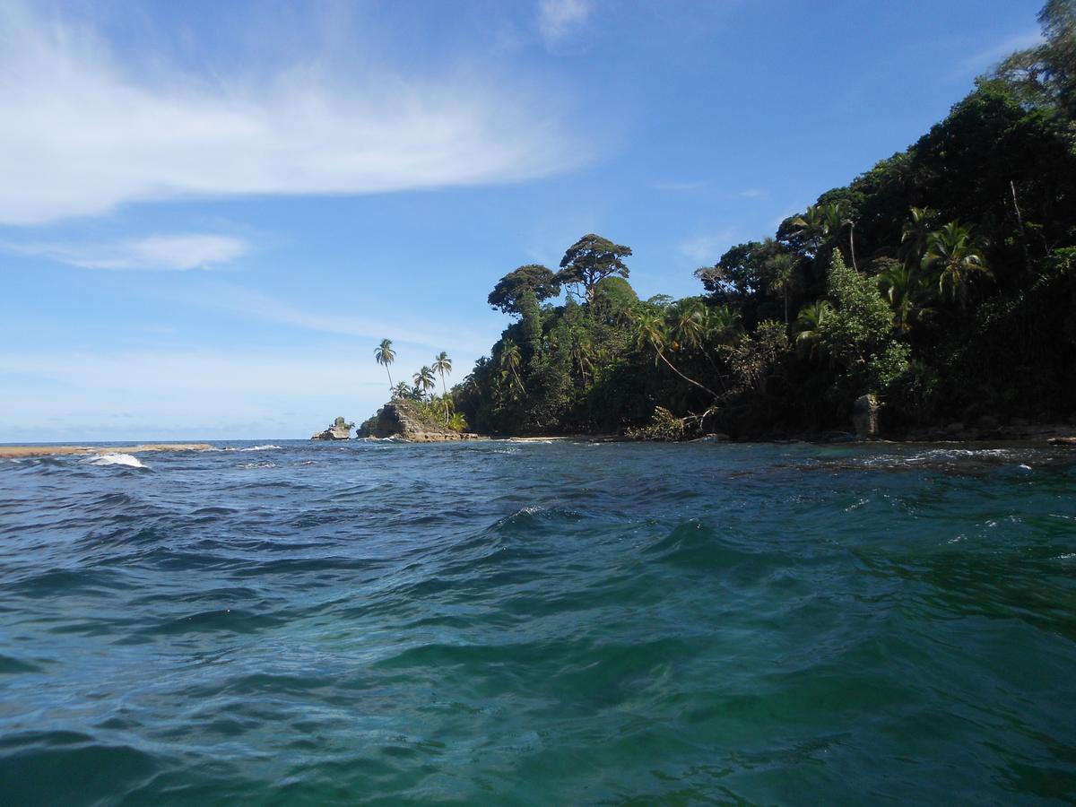 Rosa Lodge Cahuita Buitenkant foto